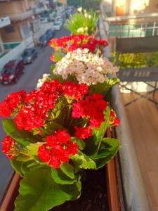 Apartment mit 2 Schlafzimmern