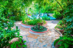 Kiota jungle homestay