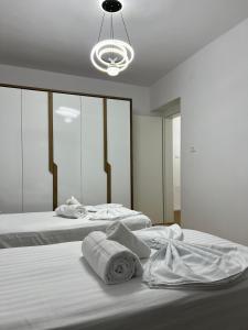 Heart of Tirana A Cozy Home for City Explorers