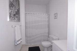 Luxury Ocean Front Condo on Millionaires Row