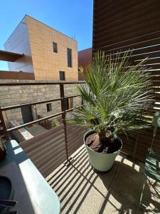 Appartements Appartement charmant au porte de Montpellier : photos des chambres