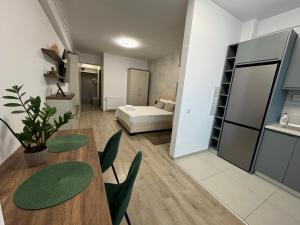 Lazar Studio Apartment - Palas Center