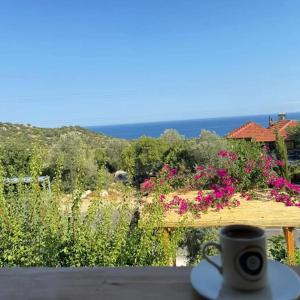 Anatolia taş ev apart kapaklı