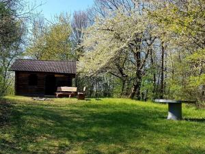 Lovely apartment in Hesse