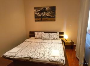 Apartment Oasis in the Old Town