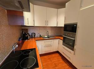 Apartment Oasis in the Old Town