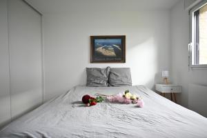 Appartements Appartement Spacieux et Moderne a 10 minutes du port de Vannes : photos des chambres