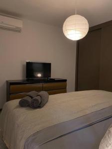 Casa frente a Macroplaza en Piedras