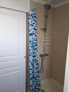 Appartements Appartement calme a 300 m de la plage-centre ville - Quiet appartment 300 m near city and beach : photos des chambres