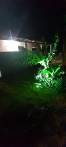 São Francisco Hause