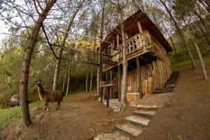 Refugio Natural Guarne