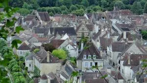 Petite Maison centre du village - Châtel-Gérard