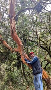 EcoLodge Mayu Camping