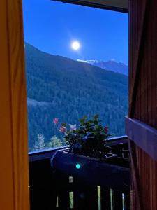 Maison Etoile - Pila n 0042