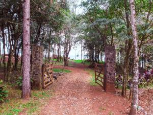 El Paisaje en El Soberbio