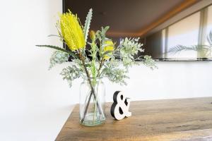 Paradise Bound - Central and Modern at Surfers