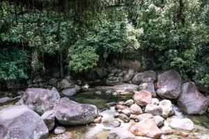 Sítio Toledos em Guapimirim com acesso direto a Cachoeira