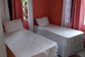 Humming Bird Inn-Homely and quiet