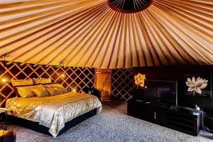 Stillwaters - Kawerau