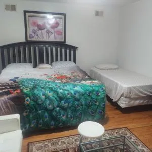 Cosy Bedroom 12mins to Airport Prudential NJIT UMDJ Penn Station - شرق اورانج