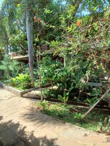 Danny juljol homestay