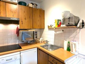 Appartement 1 chambre centre village, proche Bossonnet - FR-1-459-232