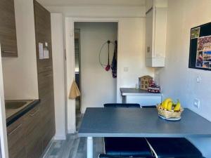 Appartement F2 rénové centre-ville Amélie-les-Bains - FR-1-703-192