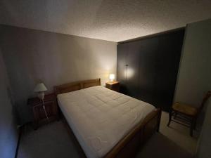 Appartements Duplex moderne avec balcon, proche pistes, 2 chambres - FR-1-787-77 : photos des chambres