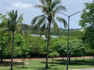 Vista a la laguna - 坦皮科