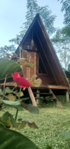 Bedugul puncak& giri camp