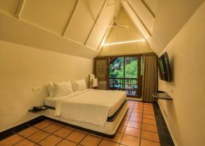 Mango Hill Auroville Pondicherry