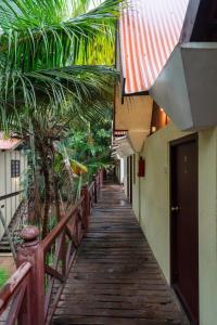 Mango Hill Auroville Pondicherry