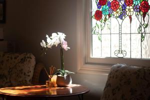 Rapunzels Cottage 1br Fairytale Studio Stay