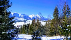 Drevenica Goralský Dvor