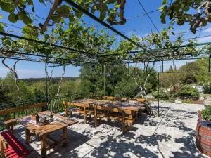 Country House Bakicevo - Two Bedroom Apartment with Terrace - Cilipi