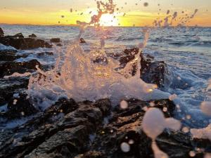 Apartments Robi - One Bedroom with Terrace