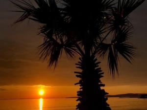 Apartments Robi - One Bedroom with Terrace