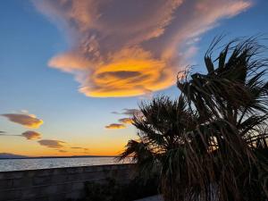 Apartments Robi - One Bedroom with Terrace