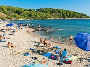 Apartments Radojkovi Lumbarda - Comfort Two Bedroom Apartment with Terrace and Sea View A2