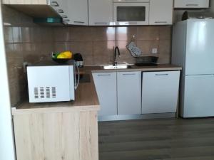 Apartment Villa Bijele Stijene - Two Bedroom Apartment with Terrace and Sea View