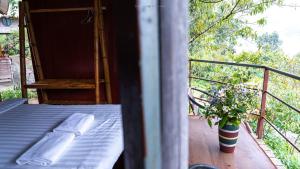 Eco Hills Homestay