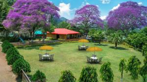 Summit Green Lake Tea Resort & Spa