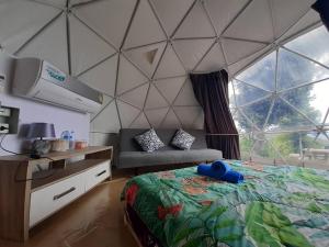 ศูนย์ฝึกอบรมสวนสัตว์เปิดเขาเขียว JJJ