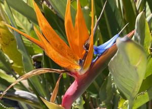 Appartements Villa d'Arnaud : photos des chambres