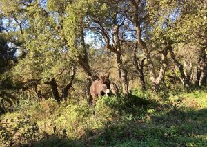 Appartements Villa d'Arnaud : photos des chambres