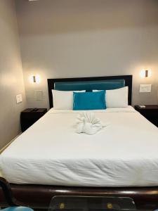 Areca Palms Hotel & Resort