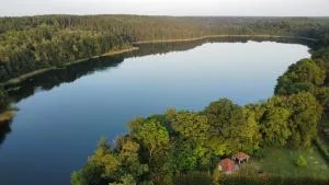 Golcza Vita - Ziemomyśl