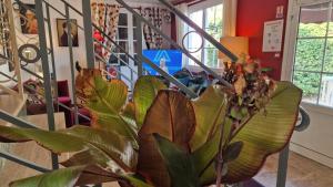 Hotels Hotel Saint Jacques : photos des chambres