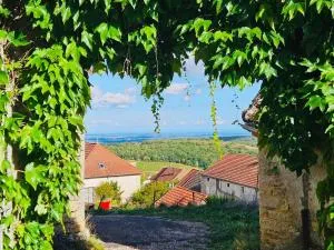 Maison unique avec vue sur les vignes - Jours-en-Vaux