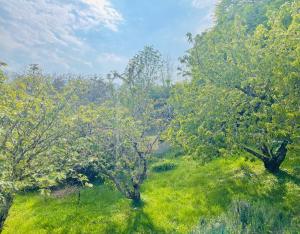 Maisons de vacances Maison unique avec vue sur les vignes : photos des chambres